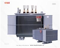 LE transformers power phan thiet airport project 02