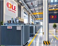 Distribution Transformer Supply Project for Southern Power Corporation 01