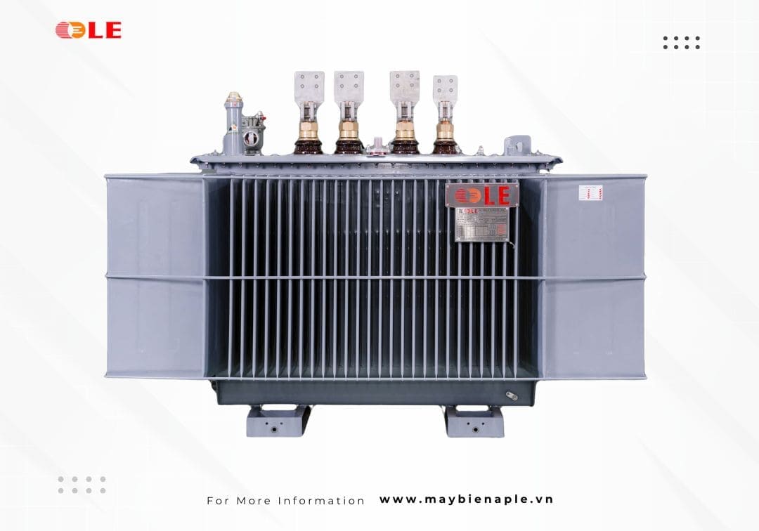 LE Transformers for Infrastructure Projects